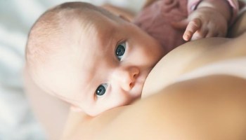 Composição do leite materno oms Clearance