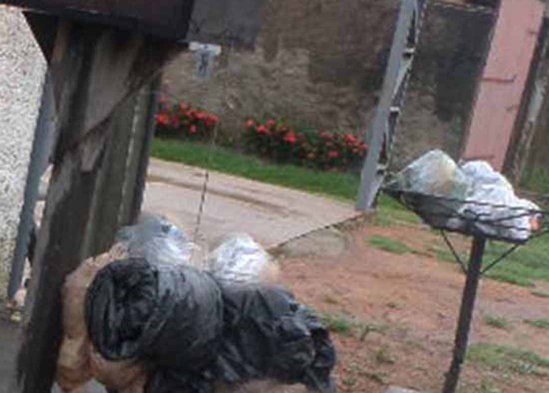 SAMSUNG CAMERA PICTURES