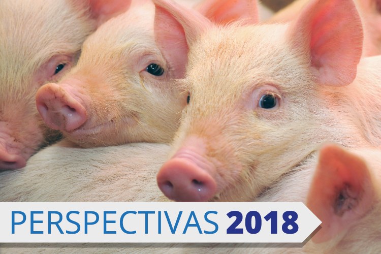 6afebe47-3a32-43b5-a94c-f20adca9b412