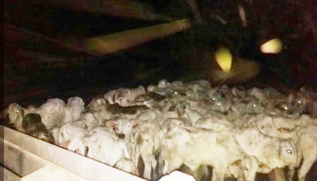 b09ef6df4bc7fc5dcfb253a1b0614fa3ddc3b6f8