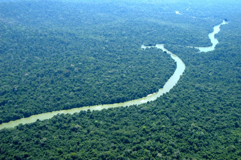 amazonia brasil