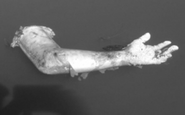 arquivos_853_conteudo_posts_748195_jpg_350_350_1_0__