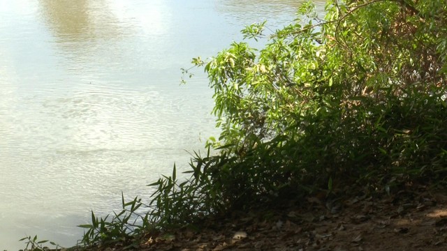 whatsapp-image-2018-05-15-at-07.50.10