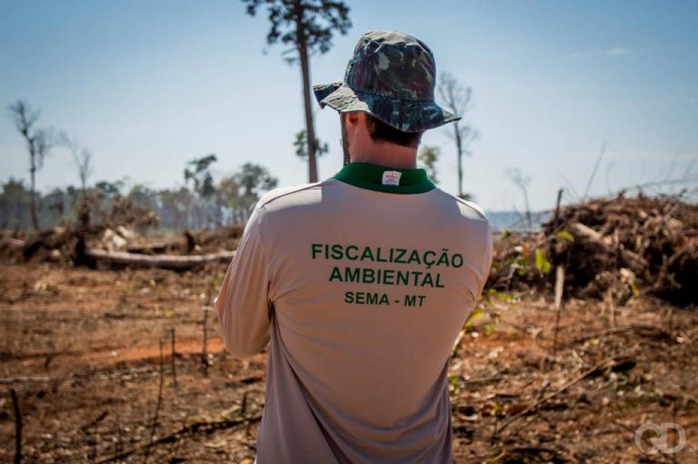 _195656_5e3eb98c5fa81