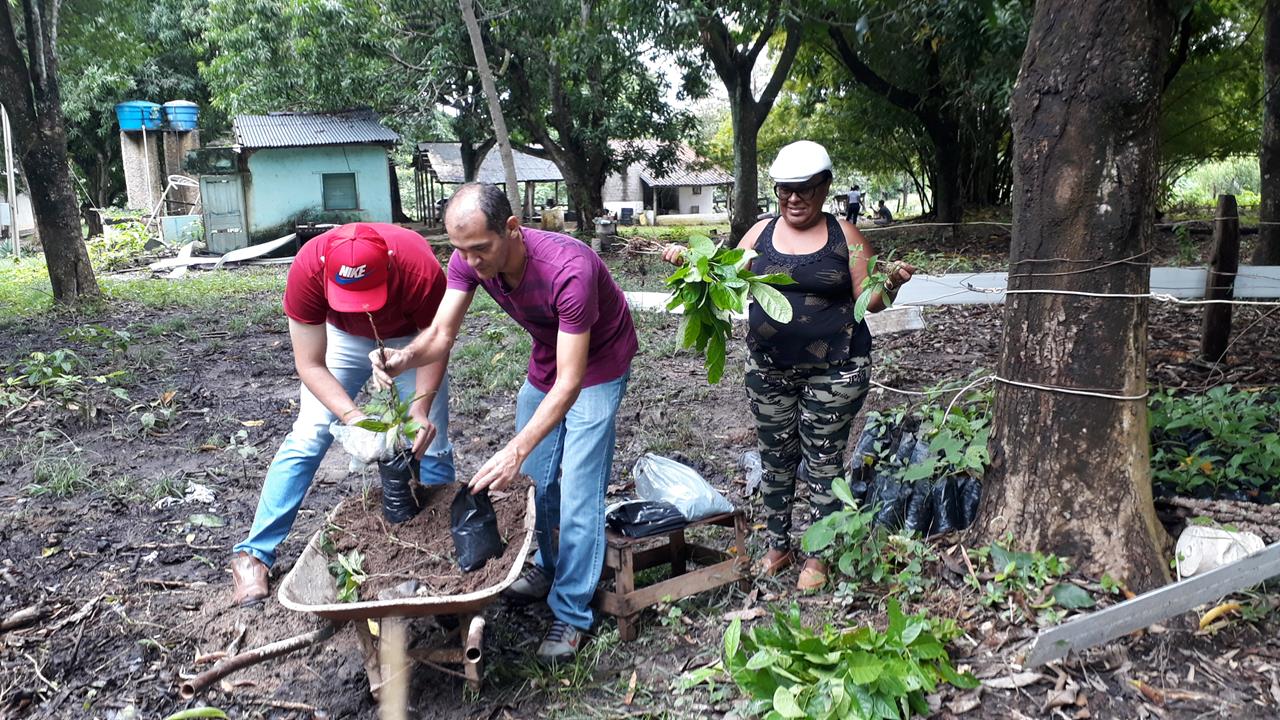 20200208_143807 - Cópia