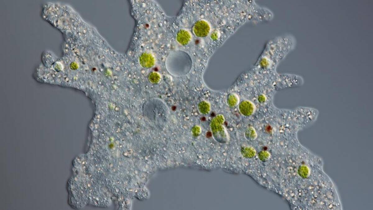 20200210095248_1200_675_-_ameba