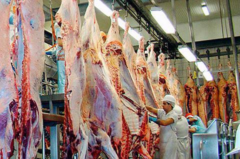 frigorifico-producao1_2_0 (1)