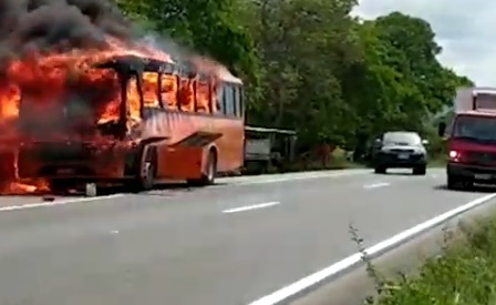 ônibus queima