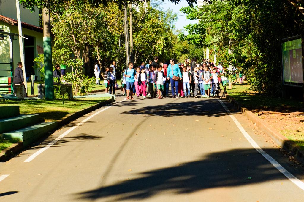 PMBonifacia_MEV-8080