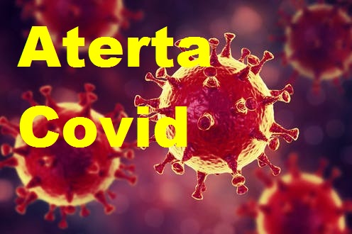 COVID ALERTA 1