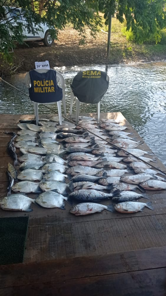 Apreensão de pescado na região de Sinop