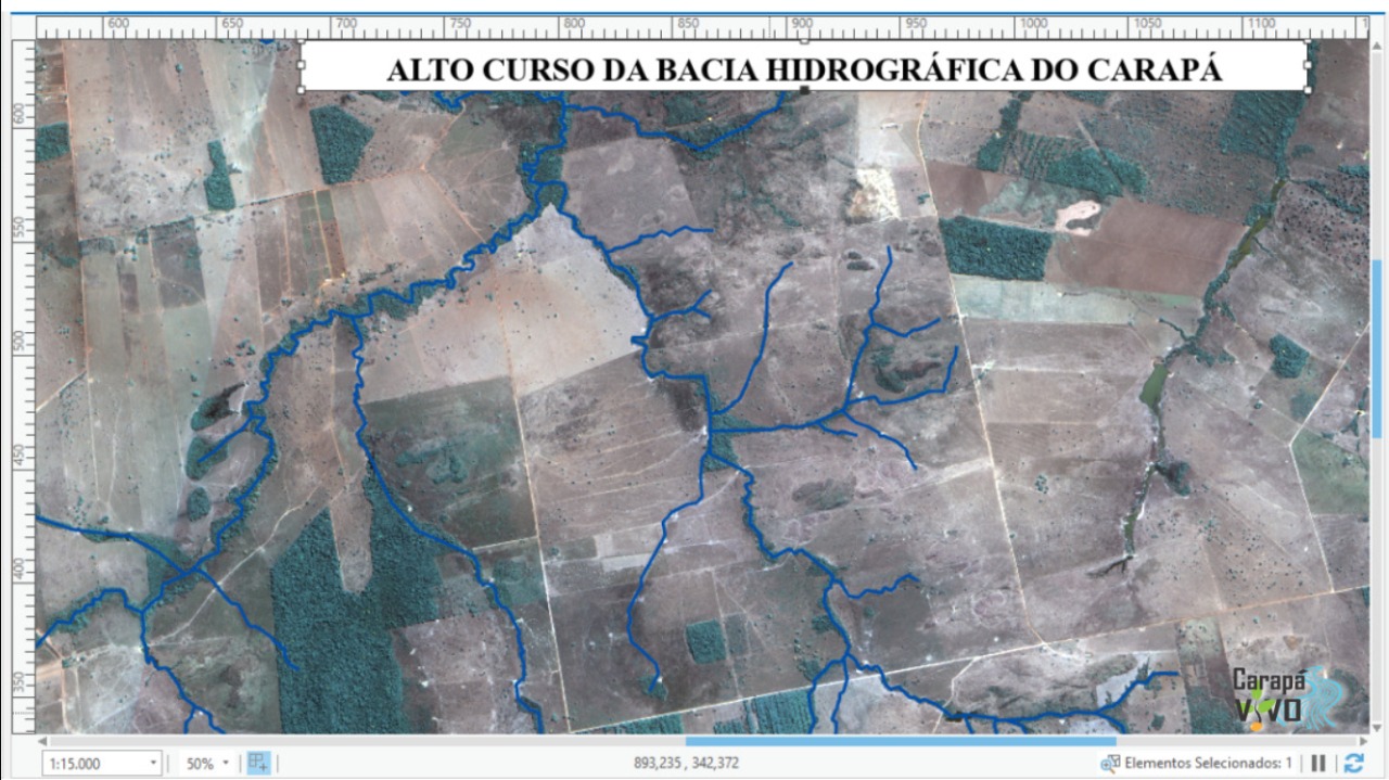 MAPEAMENTO BACIA ALTO CARAPÁ