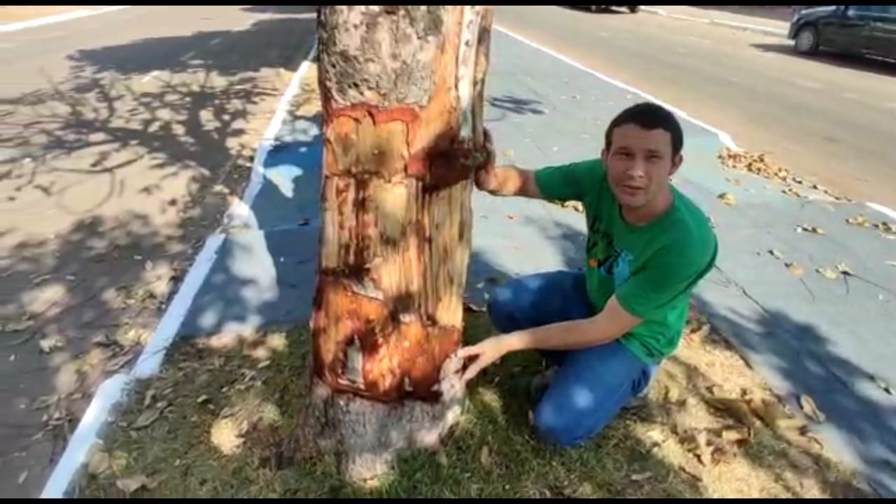 c8e7db3f-86b1-486f-a13d-d4042598f7fa