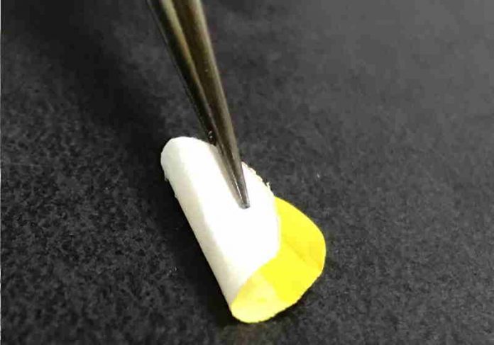 curativo_embrapa1-696x487