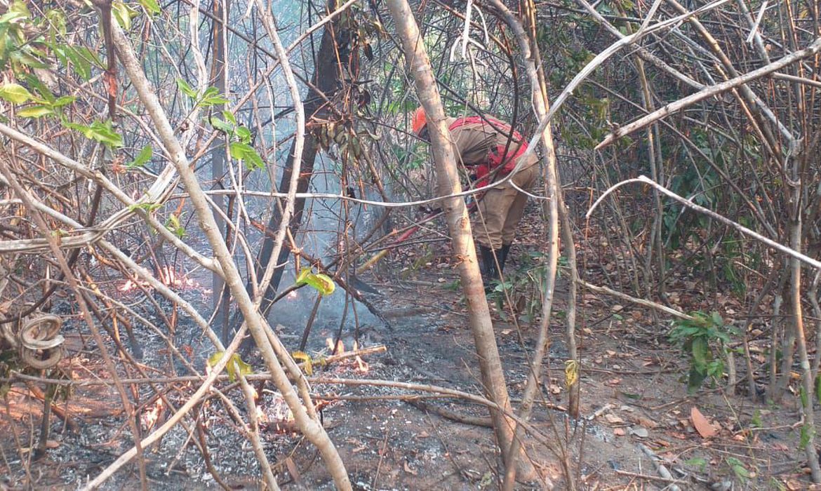 fogo chapada veadeiros