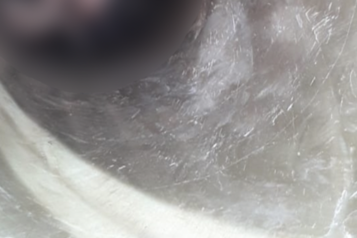 Captura-de-Tela-2022-01-03-as-090314-720x480