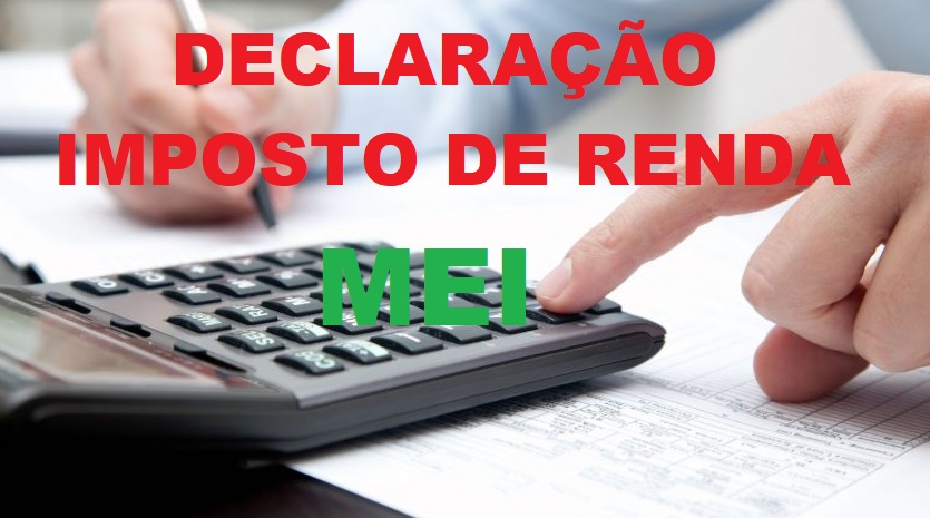 DECLARAÇÃO MEI
