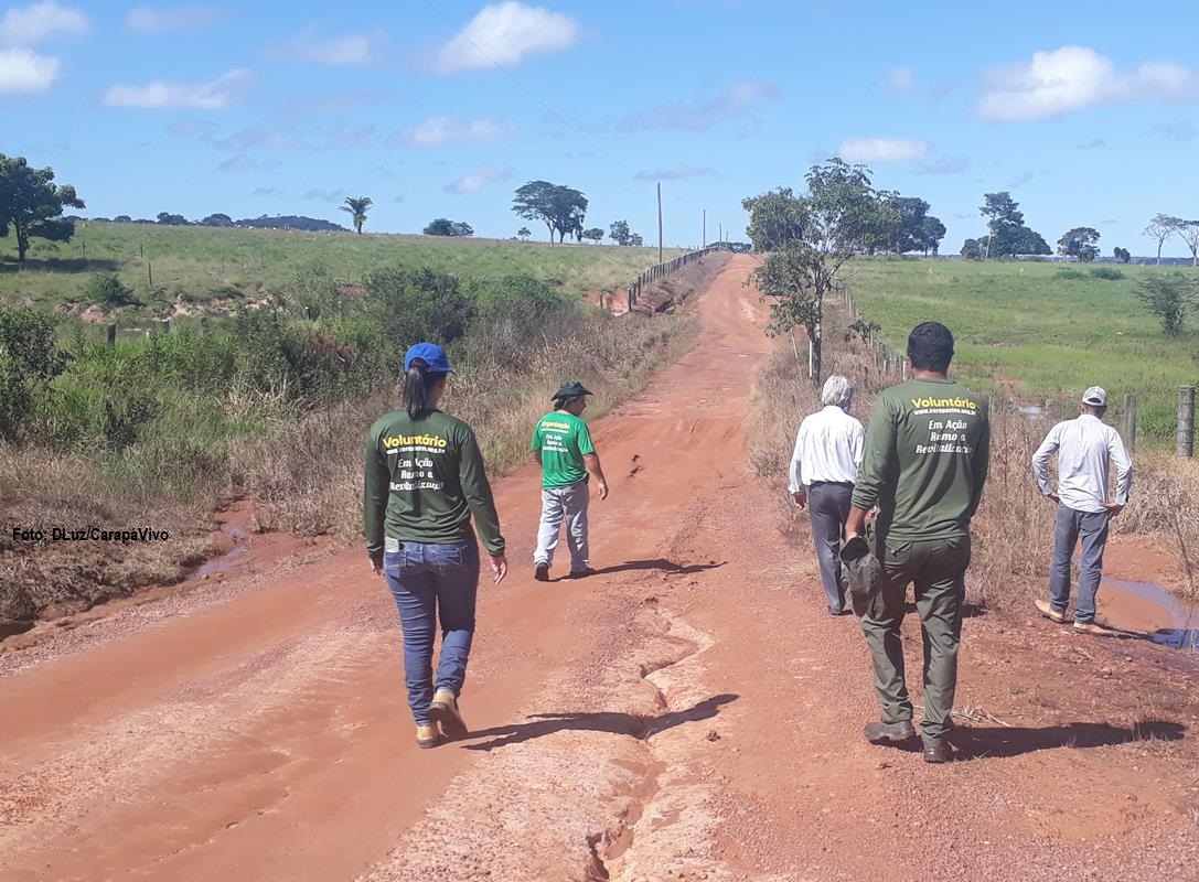 CARAPÁ 1 MATÉRIA (Copy)