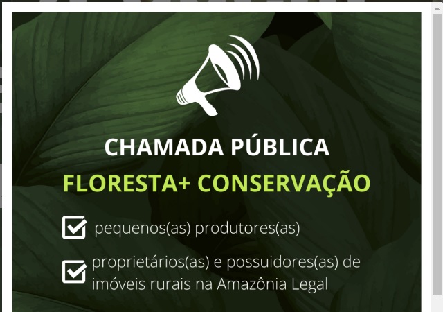 Floresta Conservação
