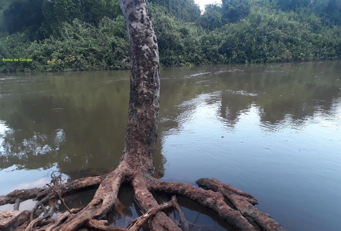 MEIO AMBIENTE-FC (Copy)