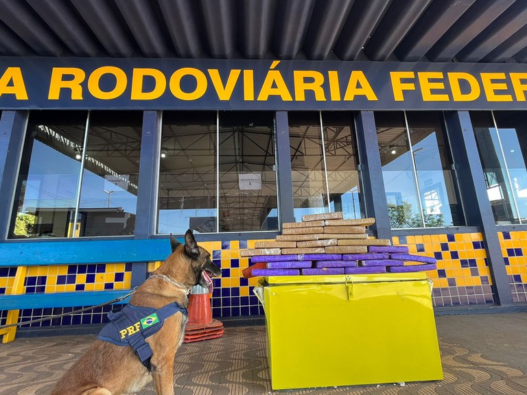 droga em caixa térmica