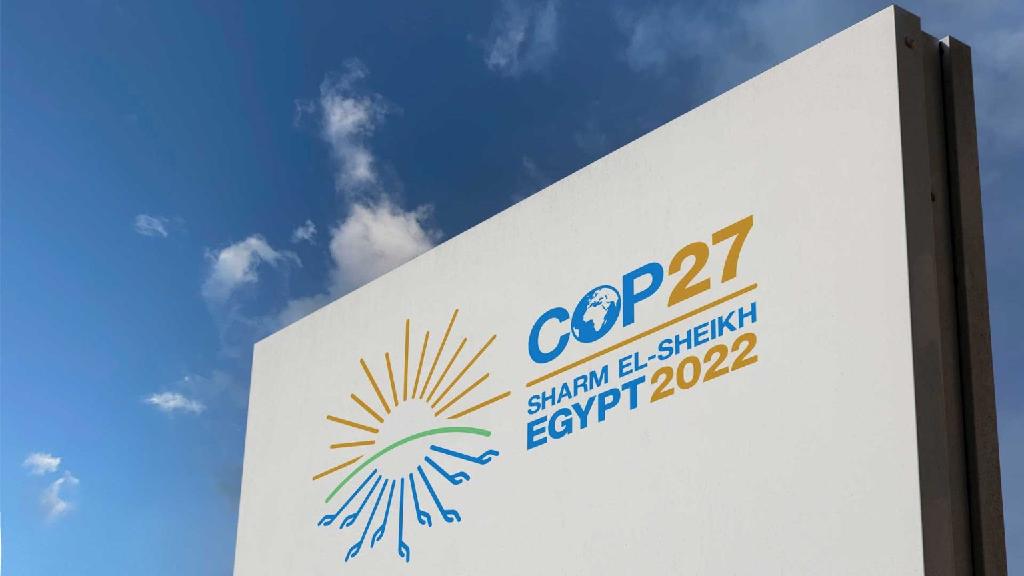 COP-27