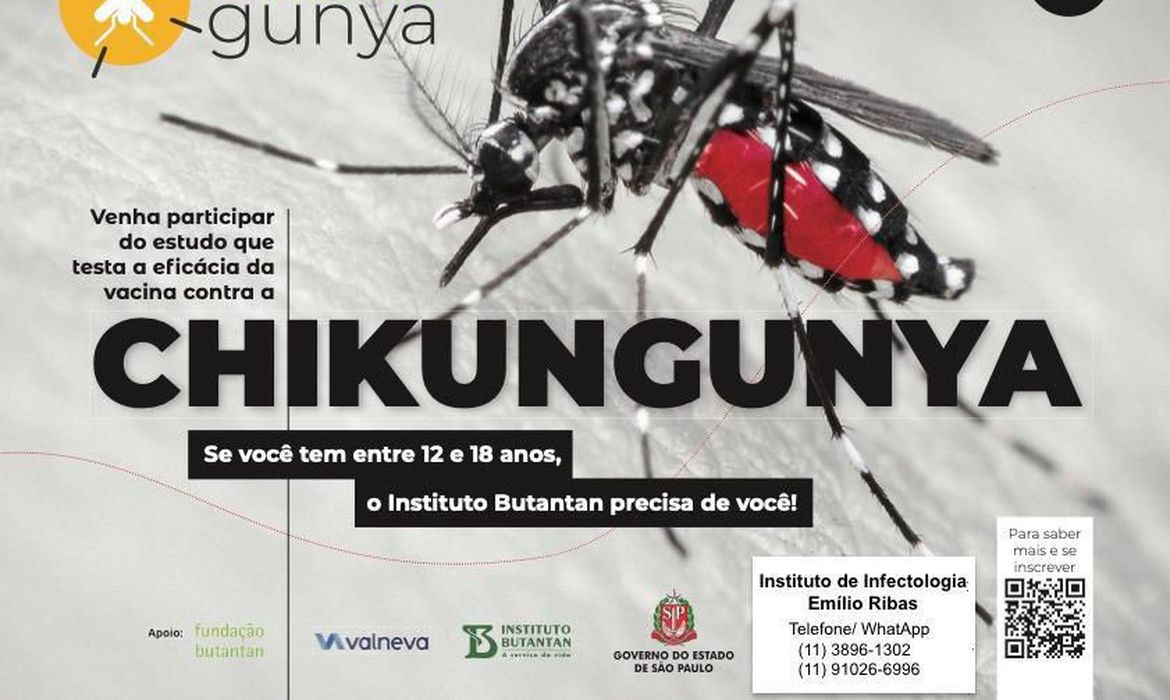 chikungunya