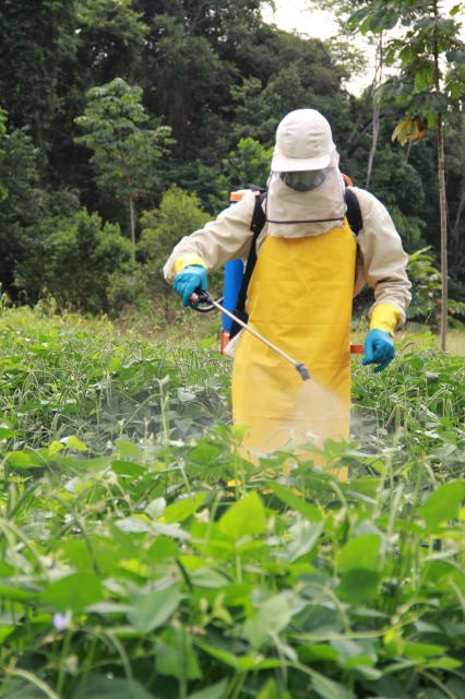 pulverizar ...rosa...ronaldo