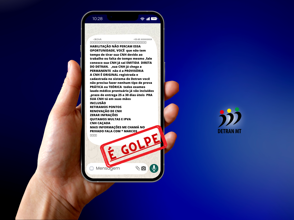 Golpe site detran 111