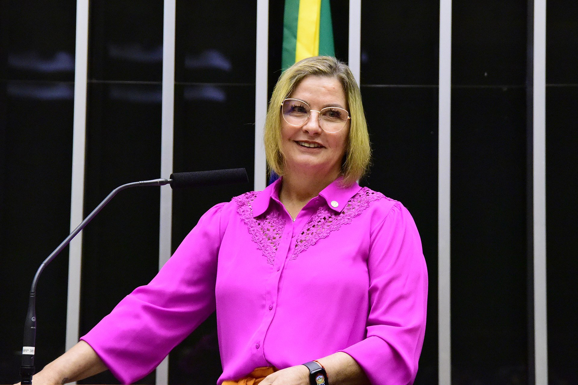 deputada-ana-paula-junqueira-leao-cleia-viana-camara-dos-deputados deputada ana paula junqueira leão - cleia viana - câmara dos deputados