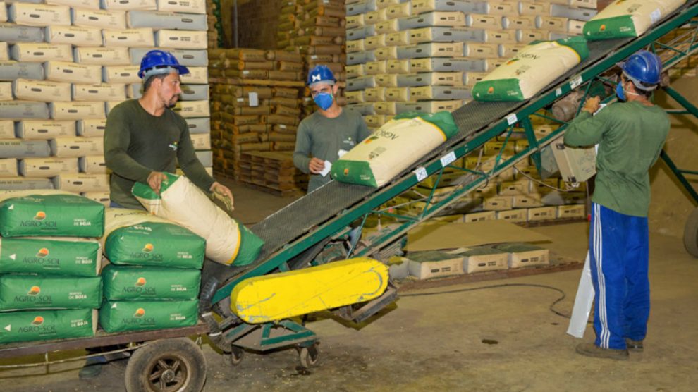 colheita-trabalhadores-2-990x556-2