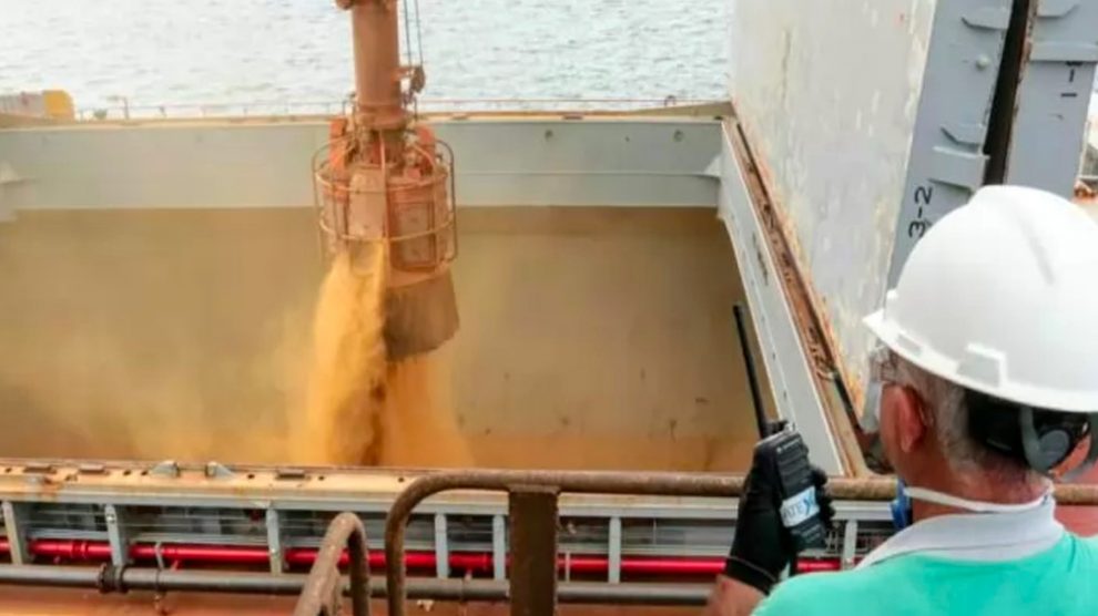 exportacao-2-990x556-1