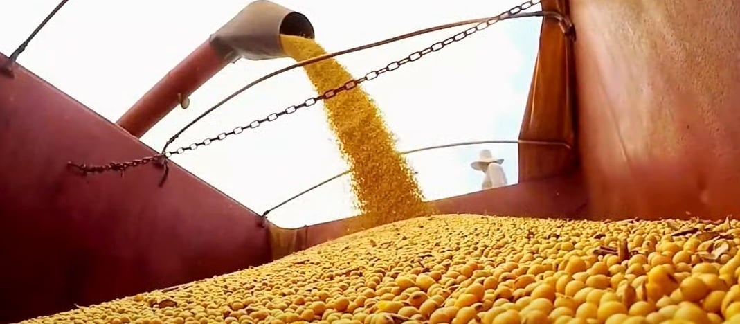 soja-4-2 soja - fazenda - lavoura