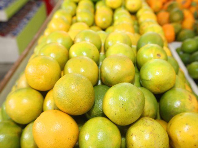 01062012_laranjapera_fotomarcossantos002-640x480-1 laranja, citrus