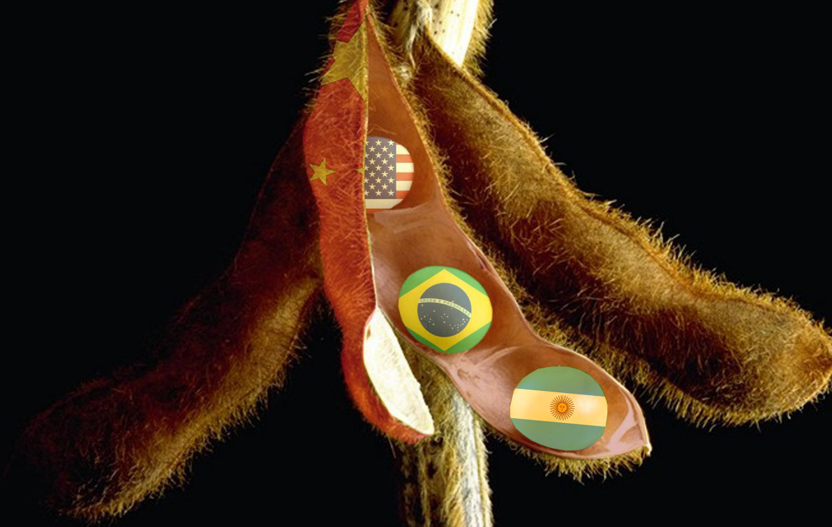 sojas-paises-1 soja brasil, argentina, estados unidos