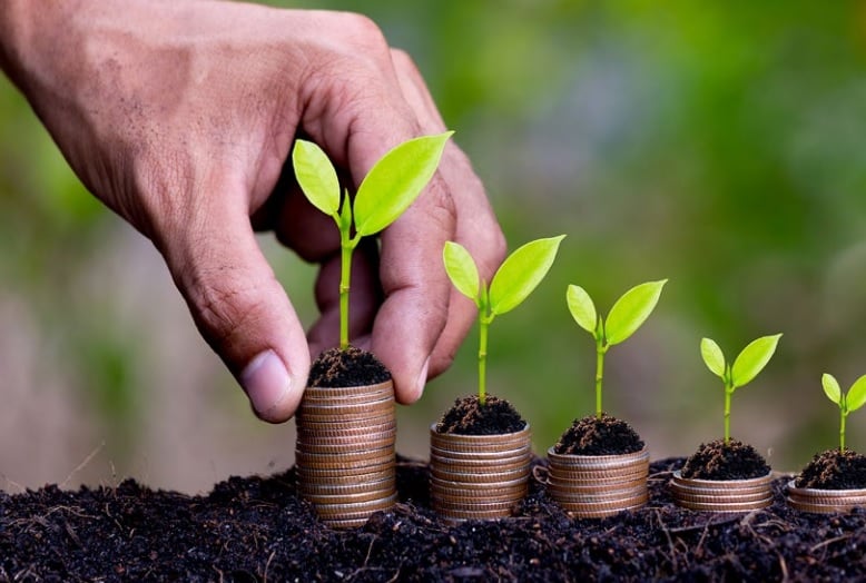 vbp-paulista-crescimento vbp paulista - crescimento