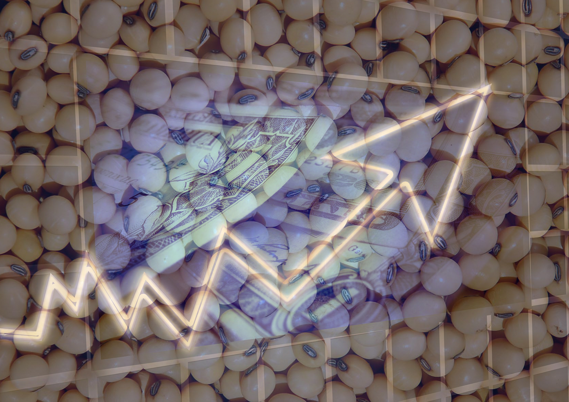 dollar-544956fff_1920 soja preço cotação pib Chicago dólar