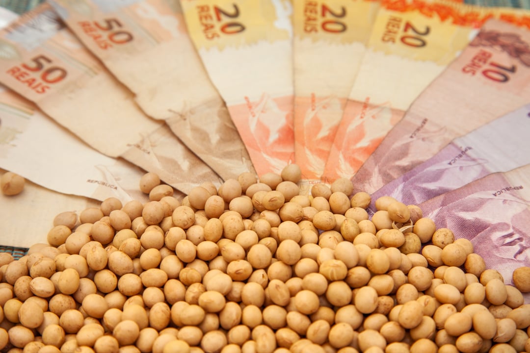 mg_2499 preço soja cotação - preços ao produtor agropecuário