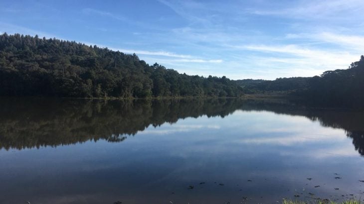 reserva-legal-frisia reserva legal -frísia