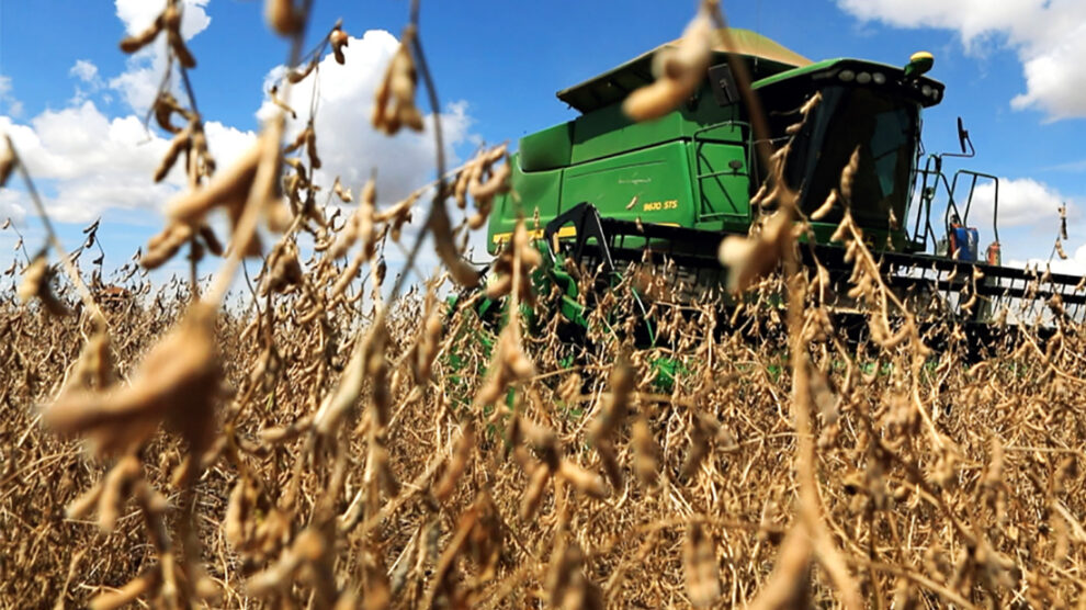 soja-fase-plantio-e-colheita-38-abril-2023-assessoria-990x556-2