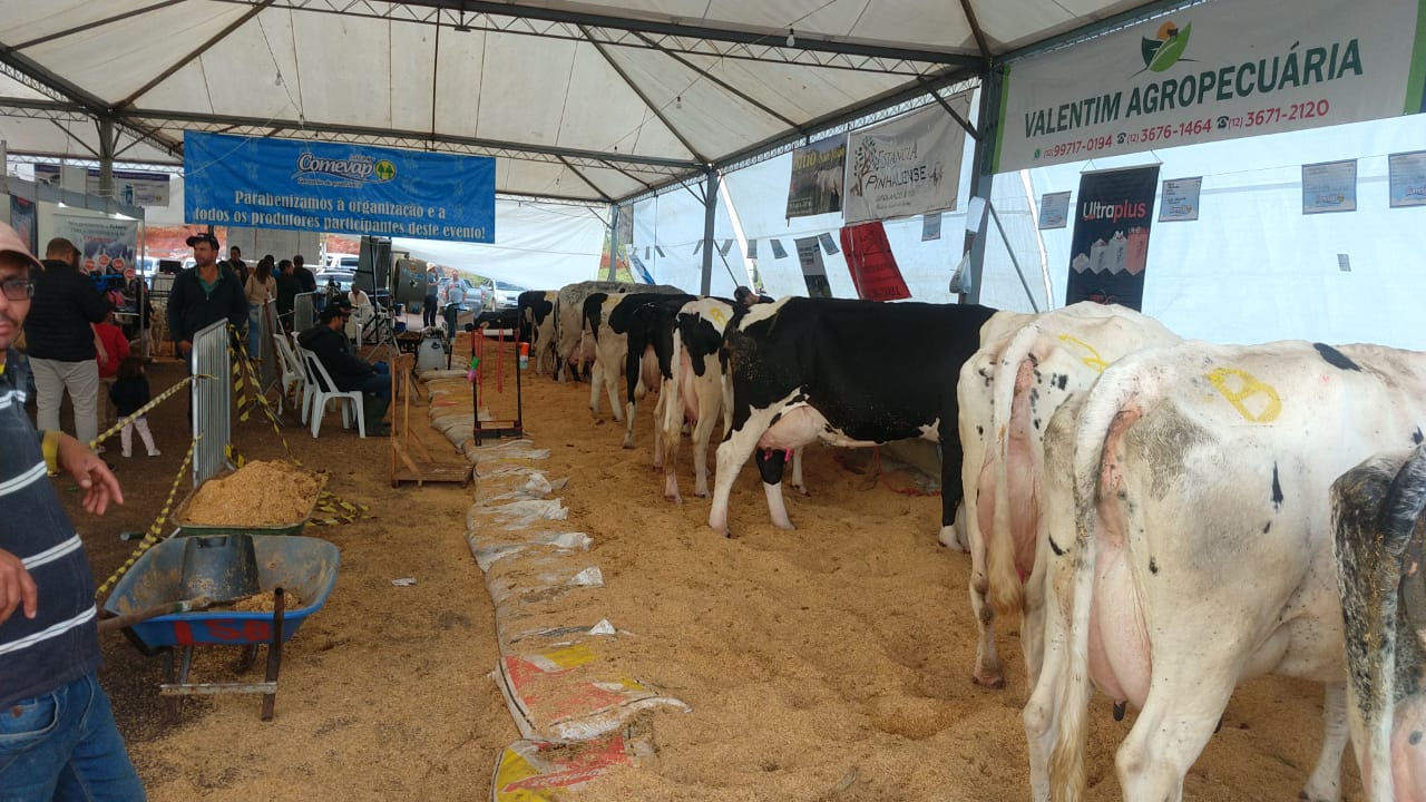 whatsapp-image-2023-06-17-at-16-36-10 Feicampo