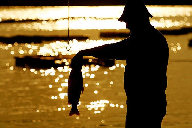 1518809016666 pescado