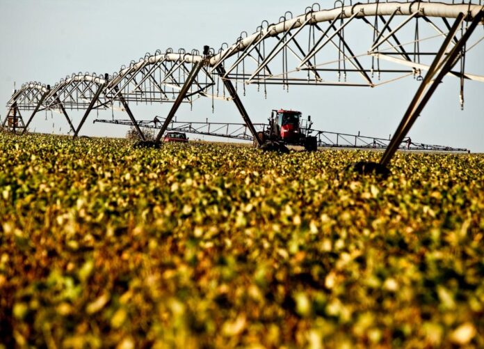 Agronegócio paulista registra superávit de US$ 10,04 bilhões no 1º semestre de 2023