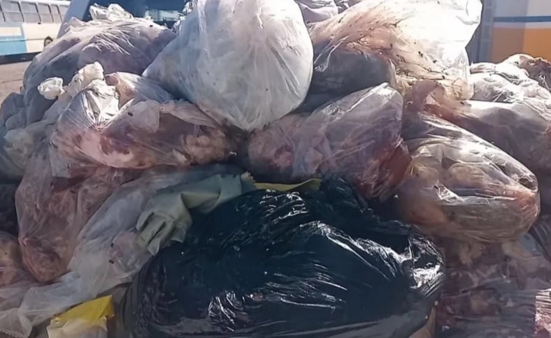 carne-apreendida carne apreendida