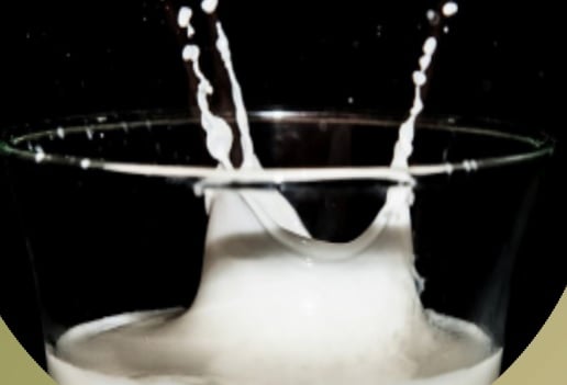 cepea-preco-do-leite cepea - preço do leite