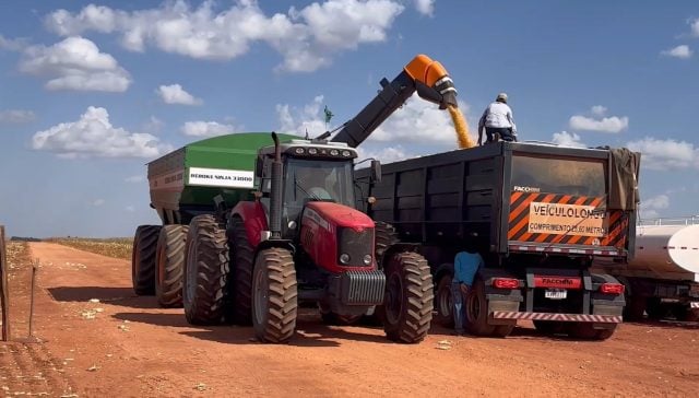 colheita-milho-canal-rural-mato-grosso-640x364-1 colheita milho canal rural mato grosso