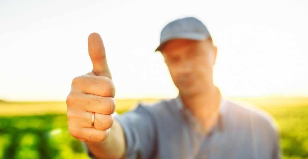 emoji-produtor-2 emoji, produtor