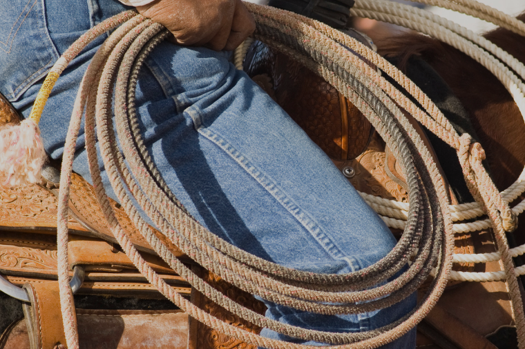 microsoftteams-image2071-1