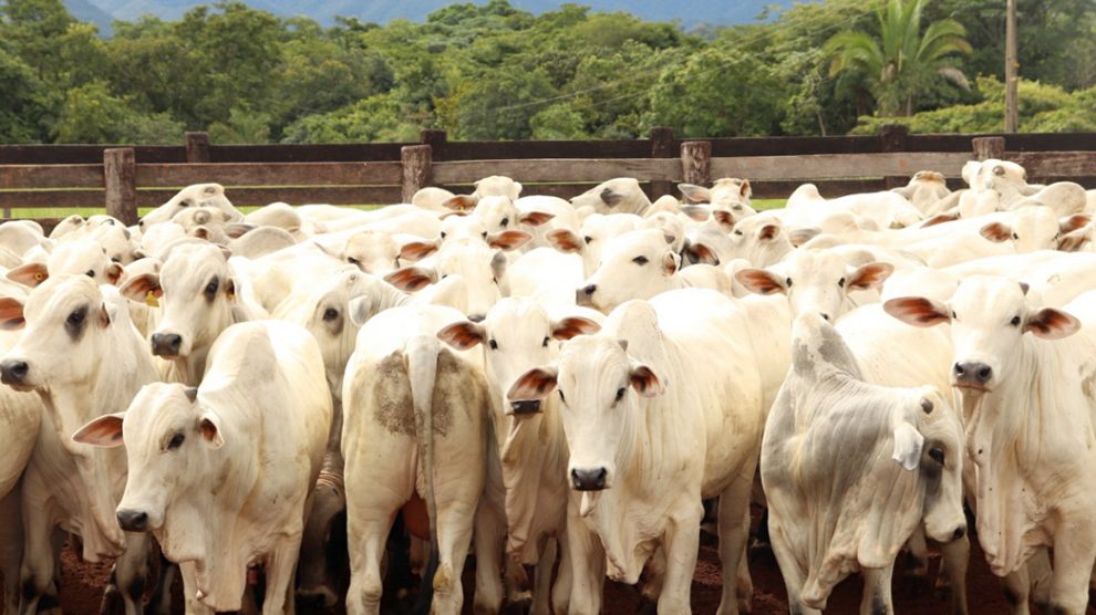 qfgetuii-990x556-1-1