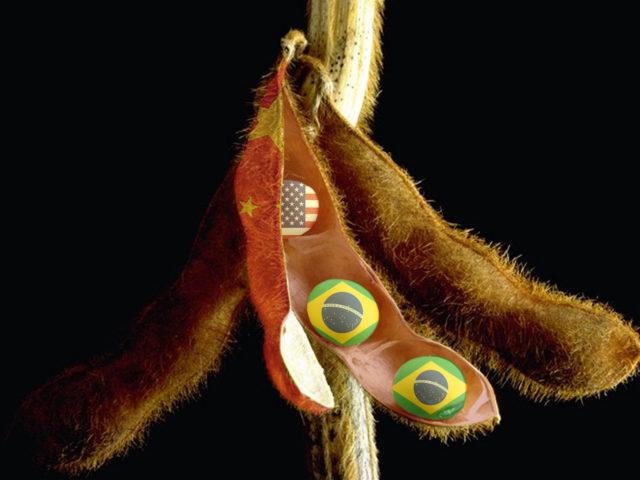 soja-brasil-china-eua2-640x480-1 soja china eua